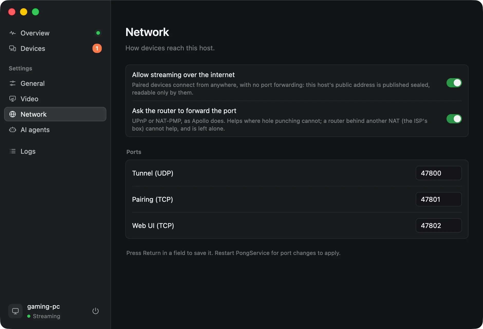 Pong’s Network settings: streaming over the internet, asking the router to forward the port, and the three ports.
